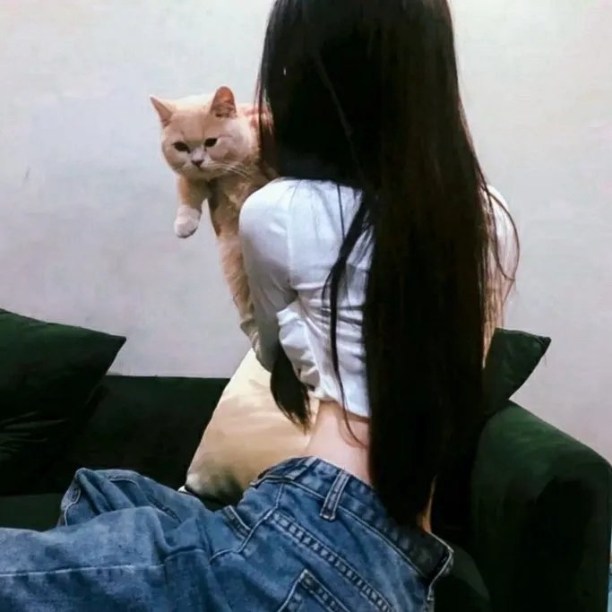 艳阳光