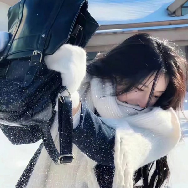 龙霸天下