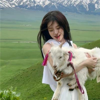 重金属之旅